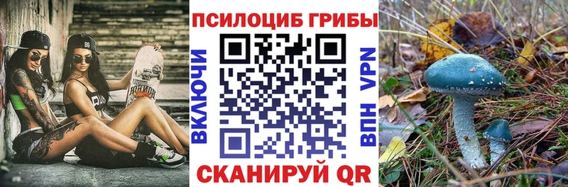 Галлюциногенные грибы мухоморы  цены наркотик  Чудово 